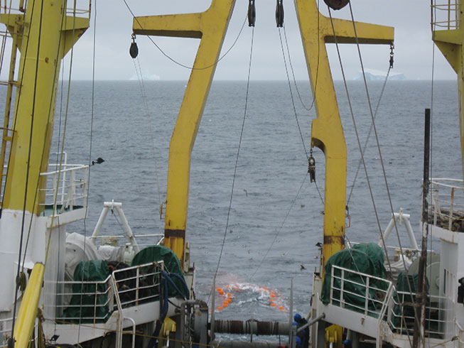 Deploying the net